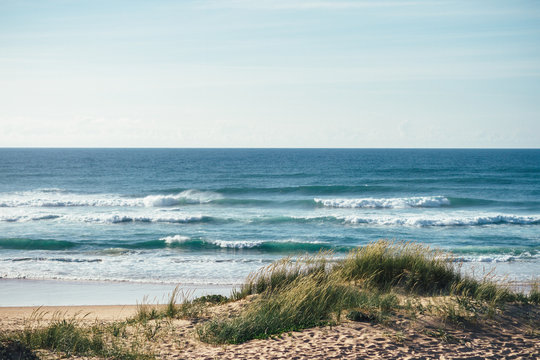 Fototapeta sandy beach landscape at the atlantic ocean