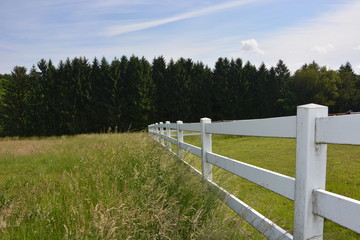 Clôture et prairie