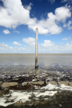 Measuring pole at low tide