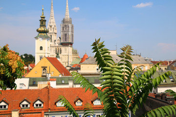Fototapeta na wymiar Zagreb skyline with Zagreb Cathedral and St. Mary Church. View from Strossmayer Promenade on Upper Town. Plant in the foreground, selective focus.