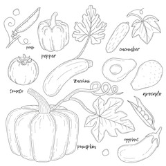 Set of hand drawn vegetables.