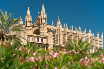 Palma de Mallorca - Kathedrale La Seu - 9307 © Wolfgang Jargstorff