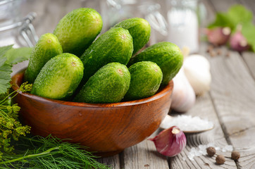 Fresh cucumbers ready for canning with dill, garlic and spices, selective focus