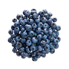 Fresh Blueberries