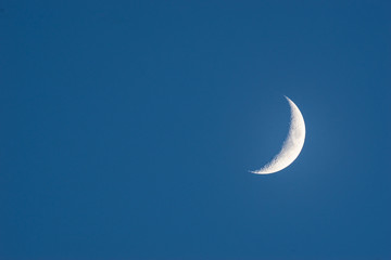 Obraz na płótnie Canvas waxing crescent moon in a homogeneous dark blue sky