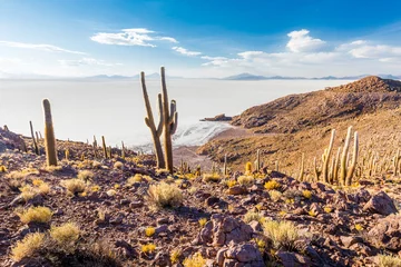 Foto op Plexiglas Huge cactuses Salar De Uyuni islands mountains scenic landscape © subbotsky