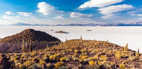 Huge cactuses Salar De Uyuni islands mountains scenic landscape
