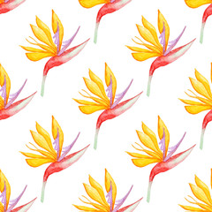 Pattern with tropical flowers