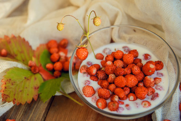 Wild strawberry with milk.