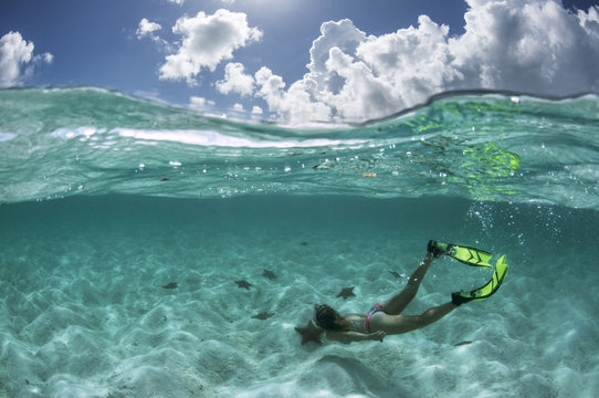 Snorkelling with the Stars