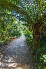 Garden Path