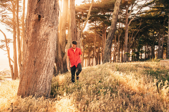 Thinking deep, a young man takes a walk in the woods at sunset