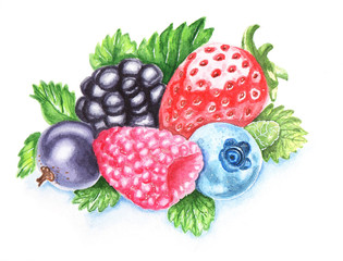 Summer berries watercolour hand-painted illustration © Natalia