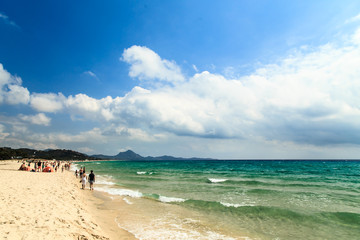 Fototapeta na wymiar The beach of Costa Rei, Sardinia