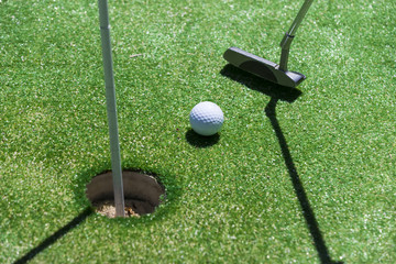 Stick with a ball on an artificial golf course 