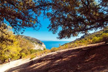Obraz premium The beautiful Cala Goloritzè in Sardinia