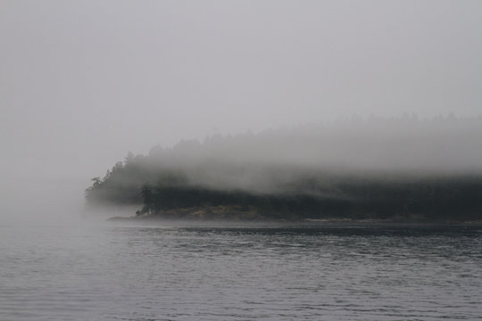 Islands in the fog