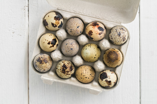 Quail's eggs in an egg carton