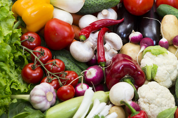 Fresh vegetables tomatoes cucumber squash and greens background close-up
