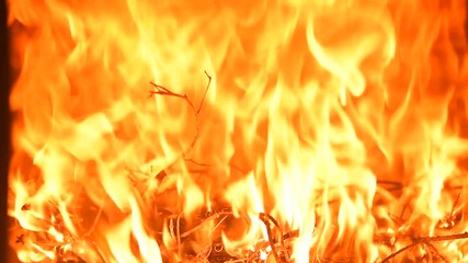 wood burning in the oven