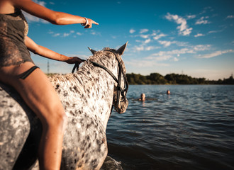 Bathing beautiful horses with people in the lake on a hot summer evening