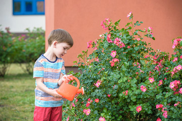 Cute little boy watering plants with watering can in the garden. Activities with children outdoors.