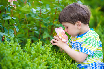 A portrait of a boy smiling and smelling a rose.