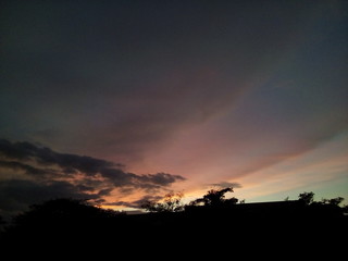 Rosado Atardecer