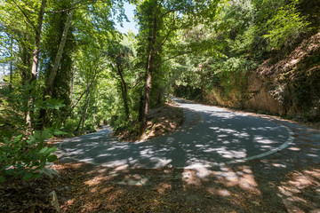 Road through the Valley of the Nightingales