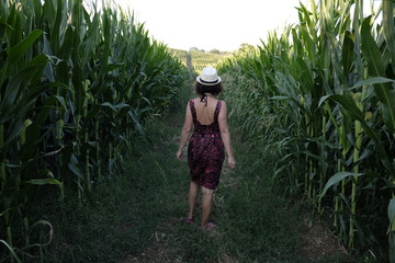 Girl in corn field © robypangy