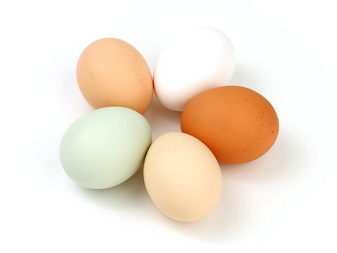 Five Multicolored Organic Free Range Chicken Eggs