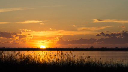 Couch&eacute; de soleil camarguais