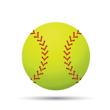 Vector of softball isolated on white background.