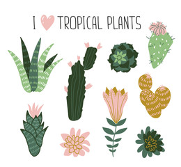 Collection of tropical plants, cactuses, succulents, flowers. Vector elements for stylish design cards, posters, web.