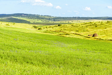Fototapeta na wymiar Beautiful green fields landscape with hay grass, hills and forest, fantastic summer time, orhei village countryside, moldova, blue sky, winding road