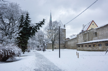 Fortress wall of Tallinn