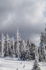 Harz Brocken Winter Schnee Berg Kalt