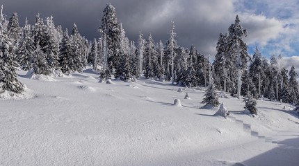Harz Brocken Winter Schnee Berg Kalt