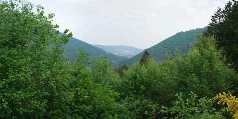Harz Thale Okertal Berg Felz