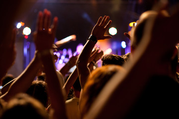 Fototapeta premium crowd with raised hands at concert - summer music festival