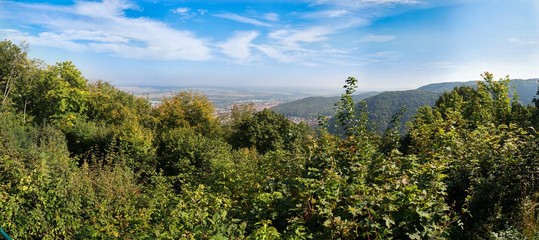 Harz Thale Okertal Berg Felz