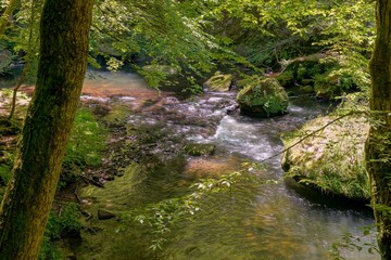 Sächsische Schweiz 2017 Wandern Berge Natur