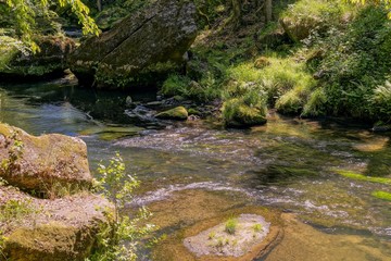 Sächsische Schweiz 2017 Wandern Berge Natur