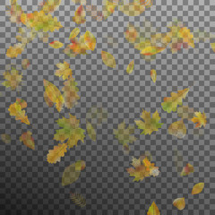 Falling autumn leaves. EPS 10 vector