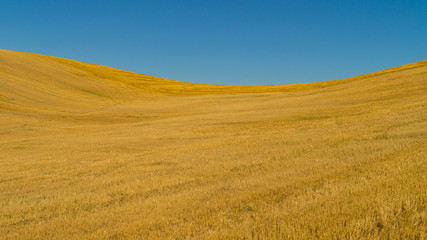 Fototapeta premium campo cosechado y cielo azul