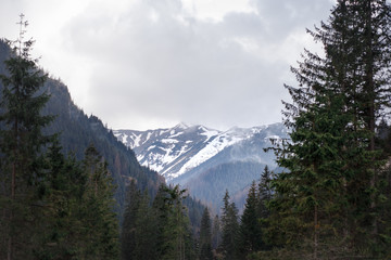 Obraz premium Mountains in the mist