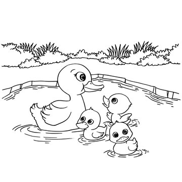 Cartoon duck lake coloring page vector