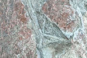 texture from a stone