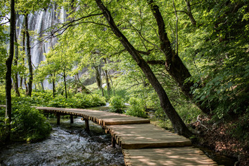 Fototapeta Im Nationalpark Plitvicer Seen in Kroatien obraz