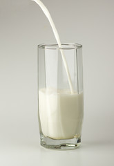 White milk in a glass cup